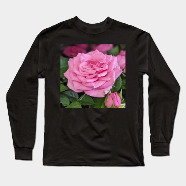 Pink Rose Bush 2 Long Sleeve T-Shirt by AustaArt